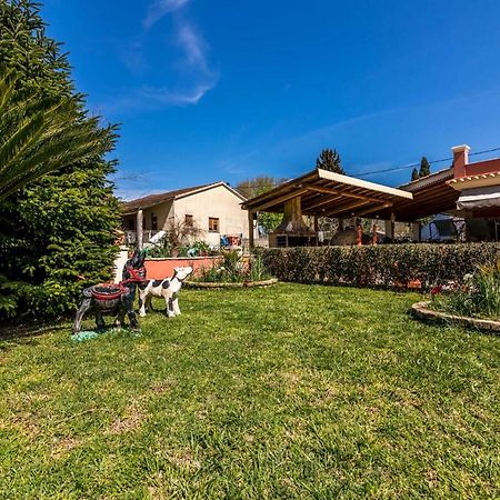 Antonela Sunshine Apartment By Corfu Escapes Perama  Eksteriør billede